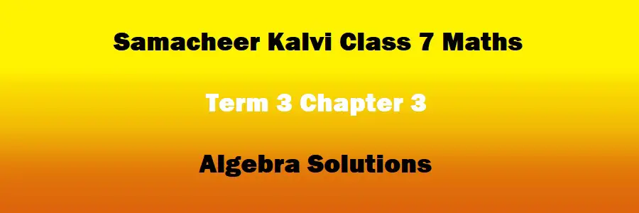 Samacheer Kalvi Class 7 Maths Term 3 Chapter 3 Algebra Solutions