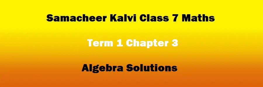 Class 7 Maths Term 1 Chapter 3 Algebra Solutions