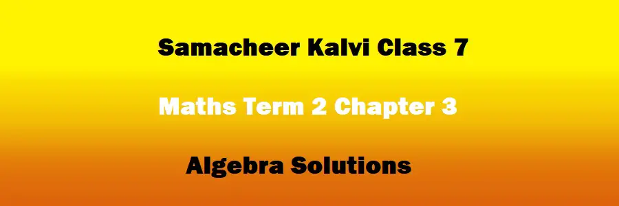 Samacheer Kalvi Class 7 Maths Term 2 Chapter 3 Algebra Solutions