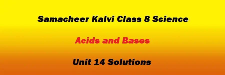 Samacheer Kalvi Class 8 Science Unit 14 Acids and Bases Solutions