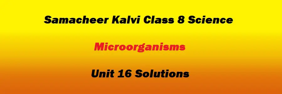 Samacheer Kalvi Class 8 Science Unit 16 Microorganisms Solutions