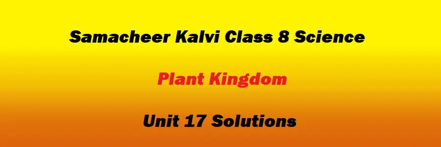 Samacheer Kalvi Class 8 Science Unit 17 Plant Kingdom Solutions