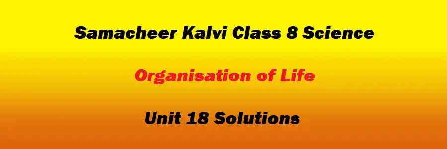 Samacheer Kalvi Class 8 Science Unit 18 Organisation of Life Solutions