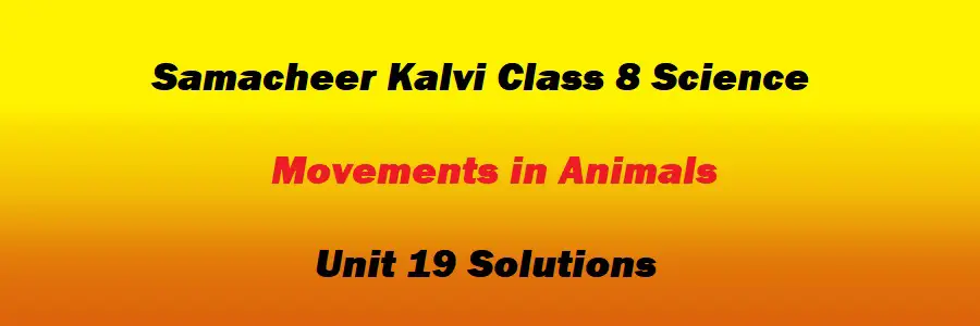Samacheer Kalvi Class 8 Science Unit 19 Movements in Animals Solutions
