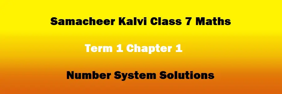 Samacheer Kalvi Class 7 Maths Term 1 Chapter 1 Number System