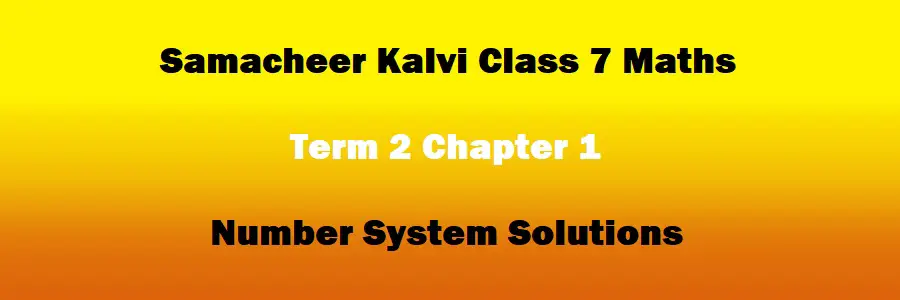 Samacheer Kalvi Class 7 Maths Term 2 Chapter 1 Number System Solutions