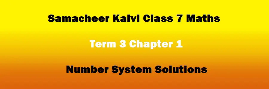 Samacheer Kalvi Class 7 Maths Term 3 Chapter 1 Number System Solutions