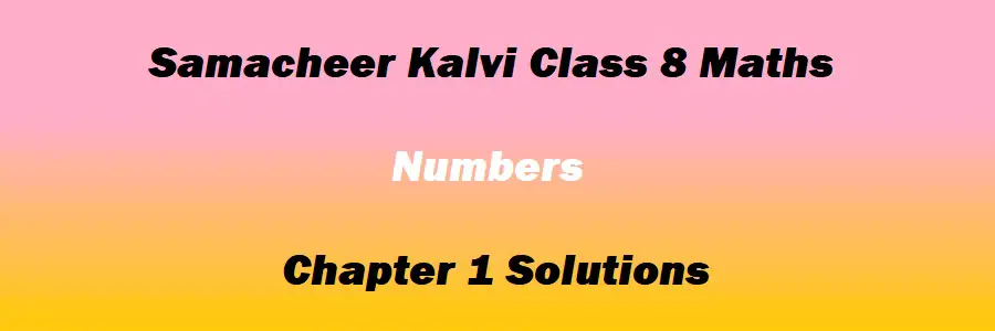 Samacheer Kalvi Class 8 Maths Chapter 1 Numbers Solutions