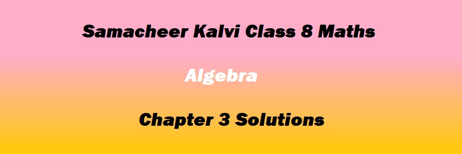 Samacheer Kalvi Class 8 Maths Chapter 3 Algebra Solutions