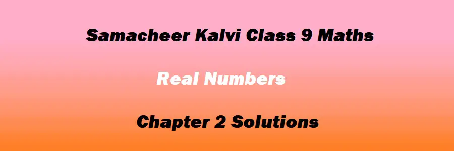 Samacheer Kalvi Class 9 Maths Chapter 2 Real Numbers Solutions