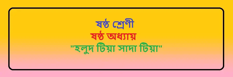 NCTB Class 6 Bengali Chapter 6 হলুদ টিয়া সাদা টিয়া Solution