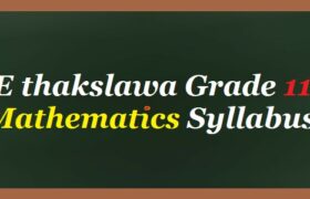 E thakslawa Grade 11 Mathematics Syllabus