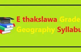 E thakslawa Grade 8 Geography Syllabus