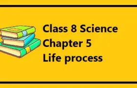 MOECDC Class 8 Life process