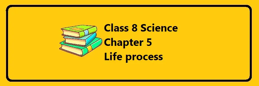 MOECDC Class 8 Life process